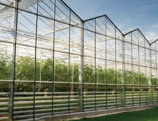 Agricultural scaffolding (greenhouse steel wire)