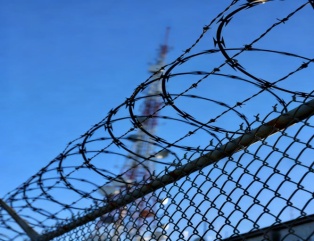 Barbed wire